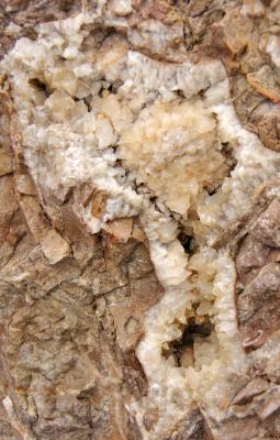 Прикрепленное изображение: IMGP6385.jpg